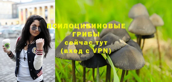 мяу мяу мука Абдулино