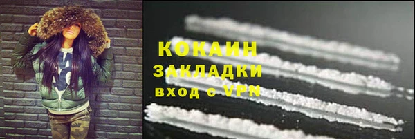 дживик Абаза
