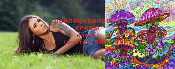 хмурый Абинск