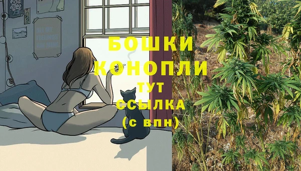 мяу мяу мука Абдулино