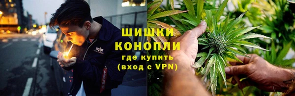 дживик Абаза