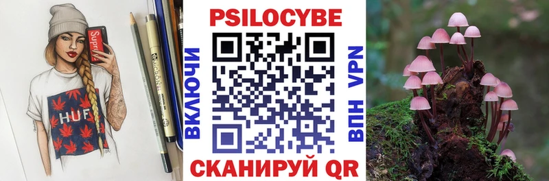 Галлюциногенные грибы мицелий  Трубчевск 